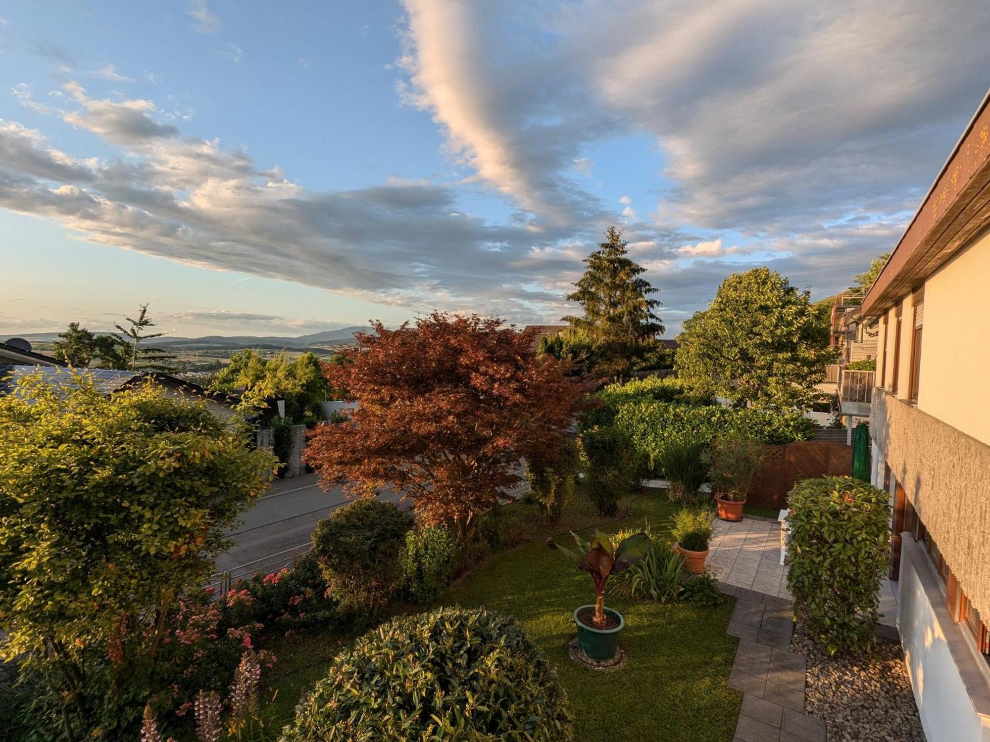 Ferienwohnung Schwarzwaldblick Βάιλ αμ Ράιν Εξωτερικό φωτογραφία